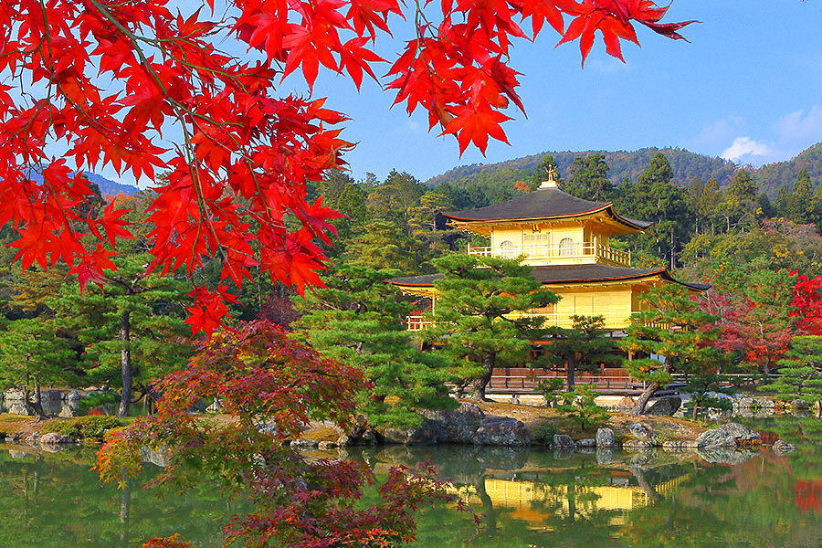 京都での紅葉スポットツアー　京都の美しい紅葉名所を効率よく訪れよう！！